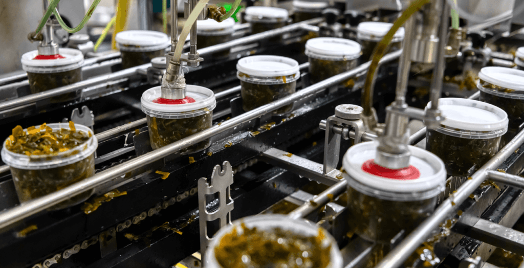 SAFE FOOD FOR CANADIANS ACT/ REGULATIONS & THE ROLE OF CFIA Food Vision